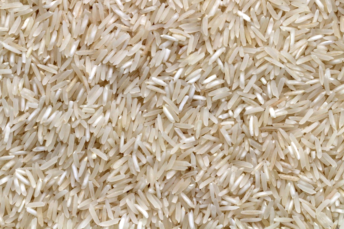 Rice & Grains